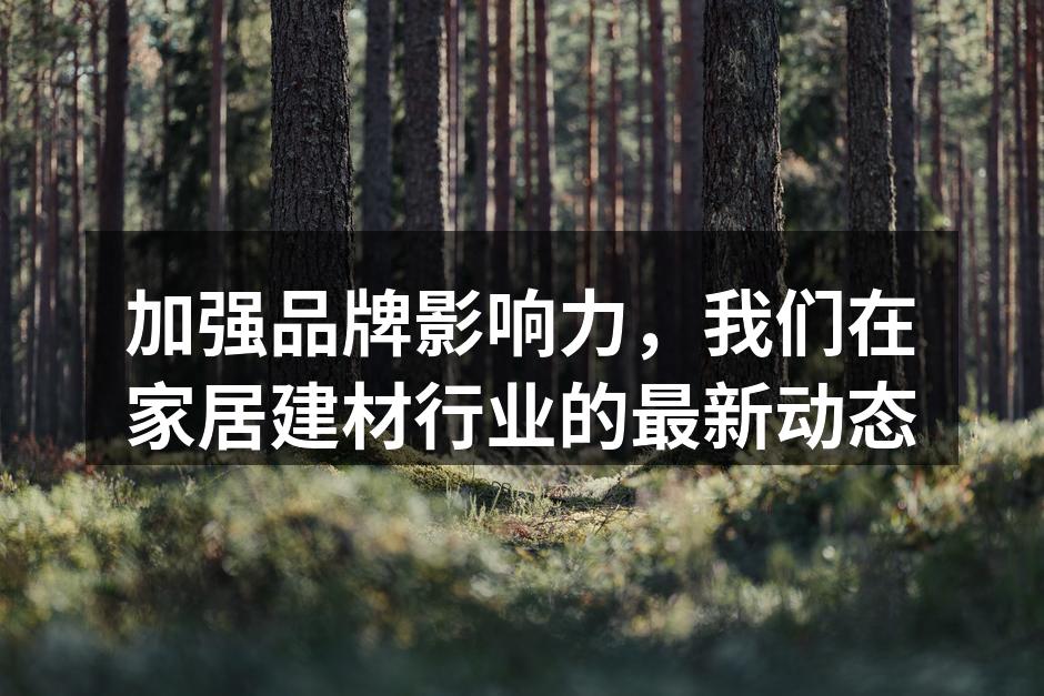 新型环保地板展示