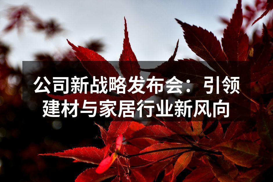 公司新战略发布会现场